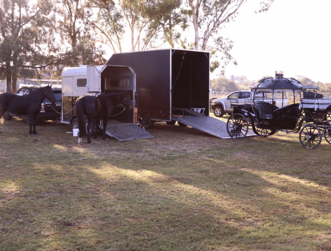 Cinderella Arrivals Team Getting Ready for Scone Horse Week Parade 2023